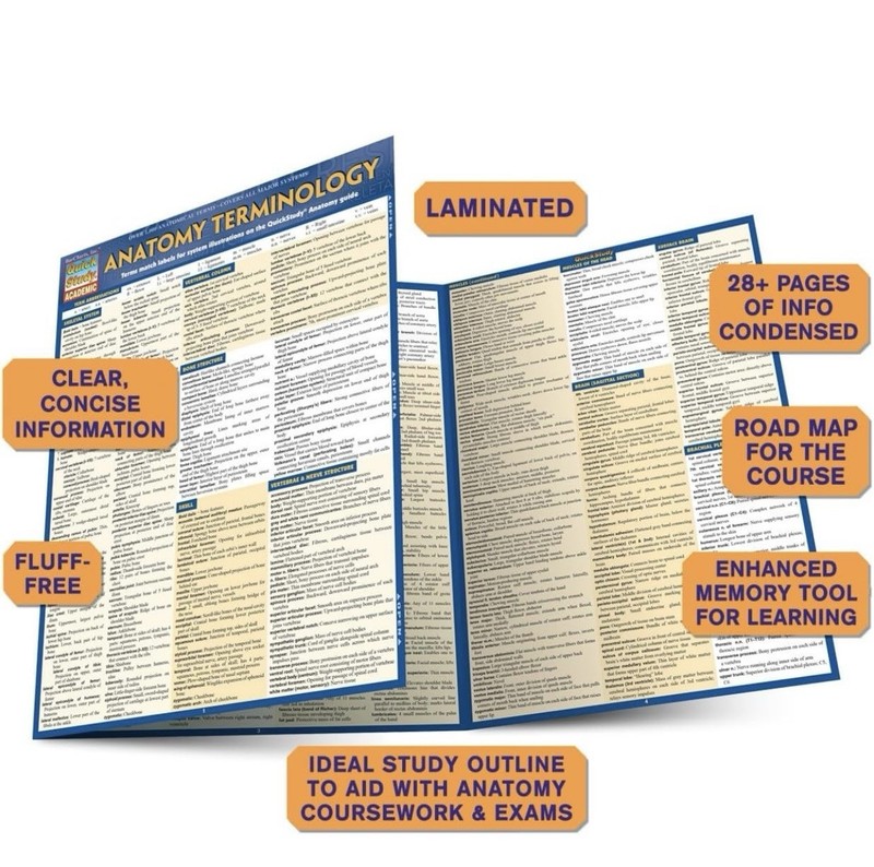Anatomy Terminology Tri-Fold Quick Study Reference Guide NEW gallery