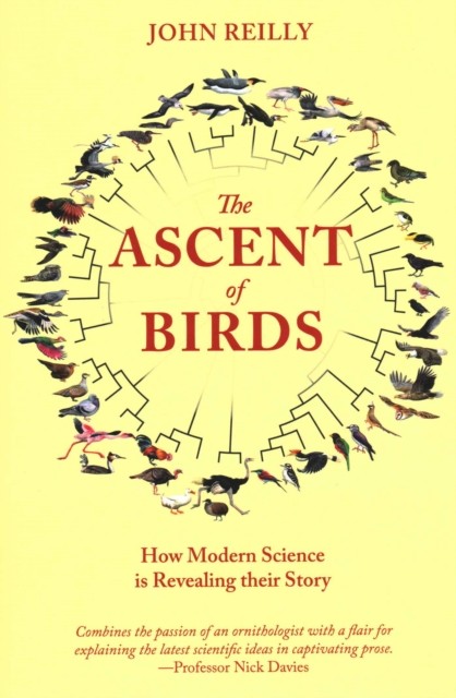The Ascent of Birds: How Modern Science is Revealing by John Reilly PAPERBACK
