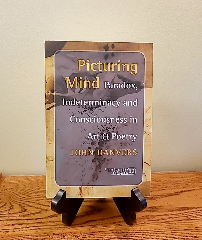 Picturing Mind : Paradox & Consciousness In Art & Poetry by John Danvers