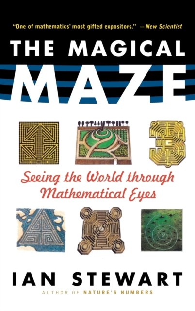 MAGICAL MAZE by STEWART IAN Hardback Self Help Business