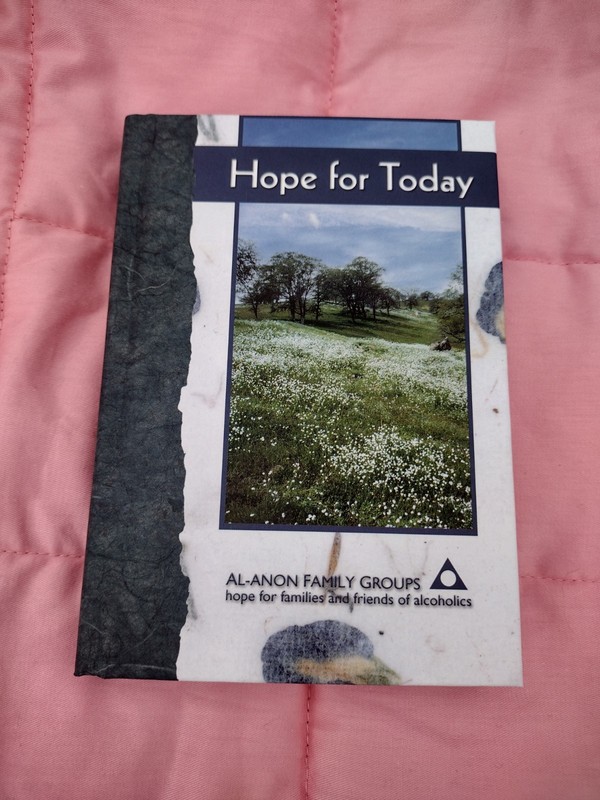 Hope for Today by Alcoholics Anonymous World (2002, Hardcover)