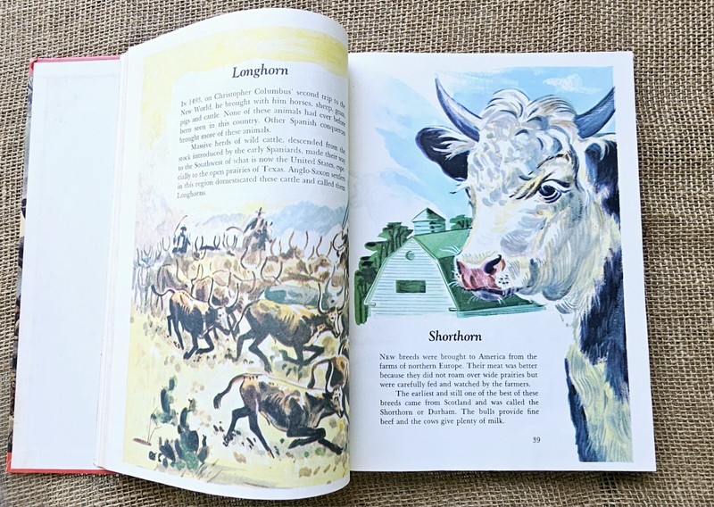 1974 Wonders Of Nature Children's Book By Parents Magazine gallery