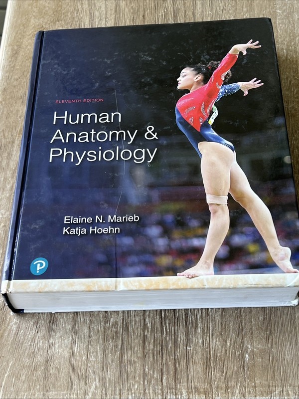 Pearson Human Anatomy & Physiology 11th Ed Hardcover Marieb Hoehn gallery