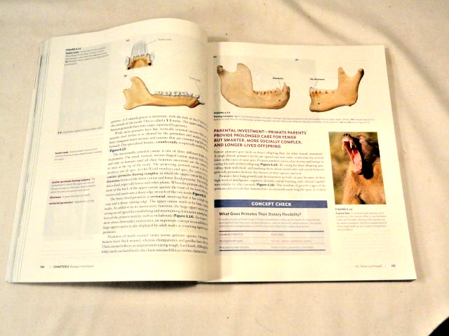 Textbook - Essentials of Biological Anthropology Fifth Edition Clark S Larsen gallery