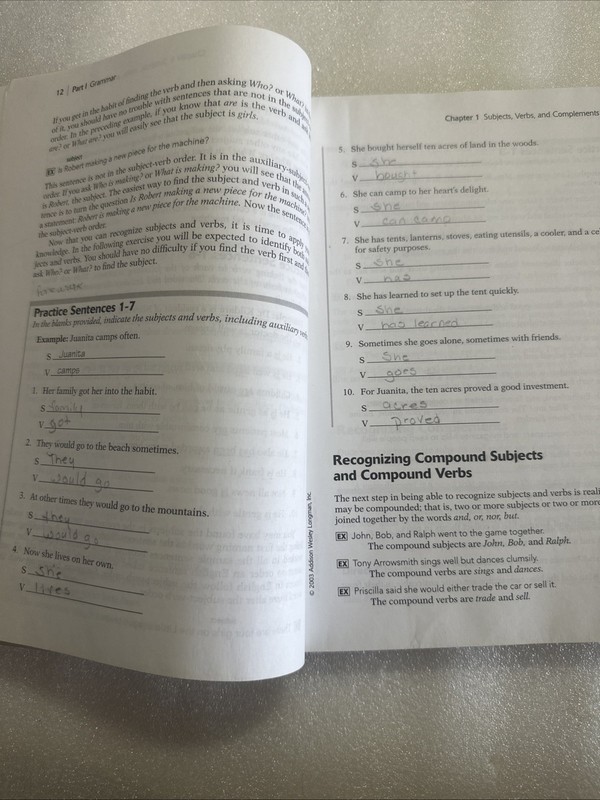 College English : A Grammar, Punctuation, and Writing Workbook by Pamela S.... gallery