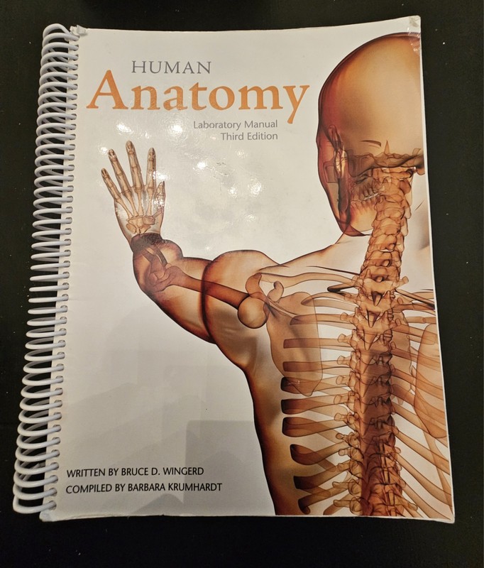 Human Anatomy — Laboratory Manual Third edition by Bruce D. Wingerd