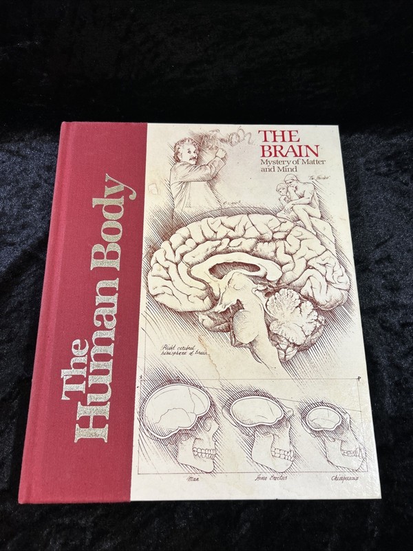 The Human Body: The Brain – Jack Fincher – Hardcover 1981 illustrated