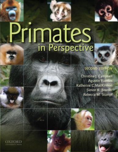 Primates in Perspective, Paperback by Campbell, Christina J. (EDT); Fuentes, …