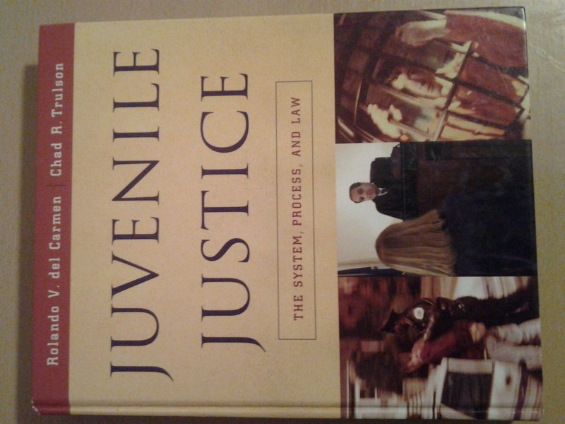 Juvenile Justice: The System, Process and Law by Rolando V. del Carmen