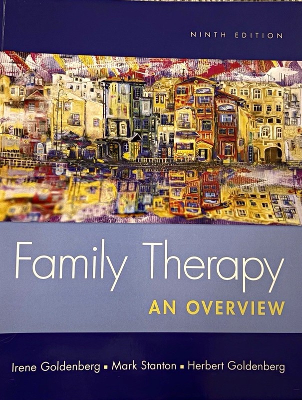 Family Therapy: An Overview 9th Edition Paperback by Goldenberg