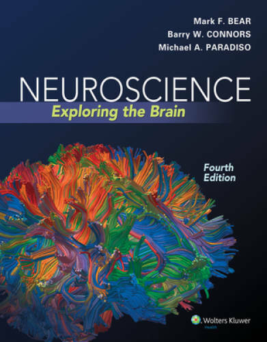 Neuroscience: Exploring the Brain – Hardcover By Mark F. Bear – GOOD