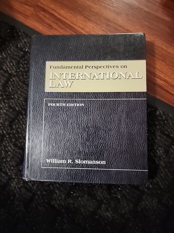 Fundamental Perspectives on International Law 2002 Hardcover)