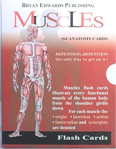 The Muscles (Flash Anatomy)