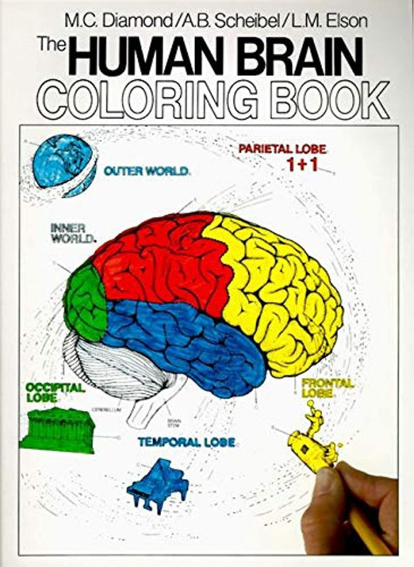 The Human Brain Coloring Book: A Coloring Book – An Interactive Guide to Neuroan