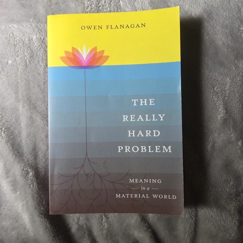 The Really Hard Problem: Meaning in a Material World (Bradford Books)
