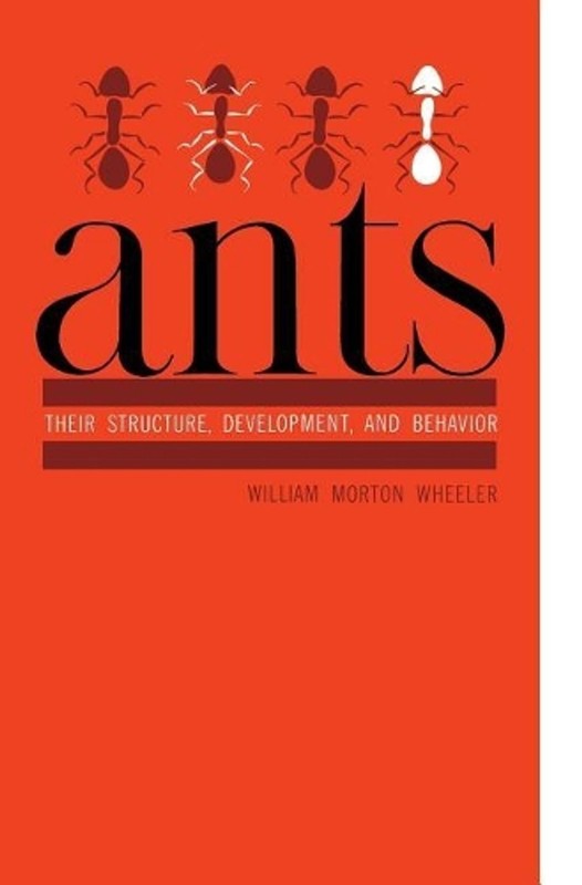 Ants: Their Structure, Development, and Behavior by William Morton Wheeler (Engl