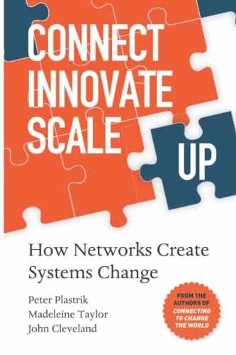Connect Innovate Scale Up: – Paperback, by Plastrik Mr. Peter; – Very Good
