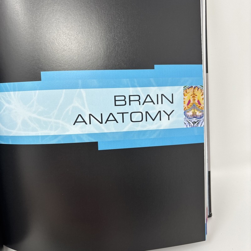 The Human Brain Book: New Edition 2019 Revised And Updated by Rita Carter. gallery