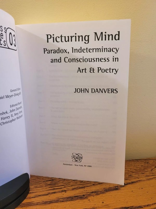 Picturing Mind : Paradox & Consciousness In Art & Poetry by John Danvers gallery