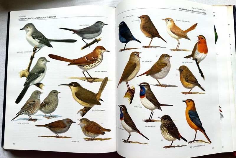 The Illustrated Encyclopedia -The Definitive Reference to Birds of the World gallery