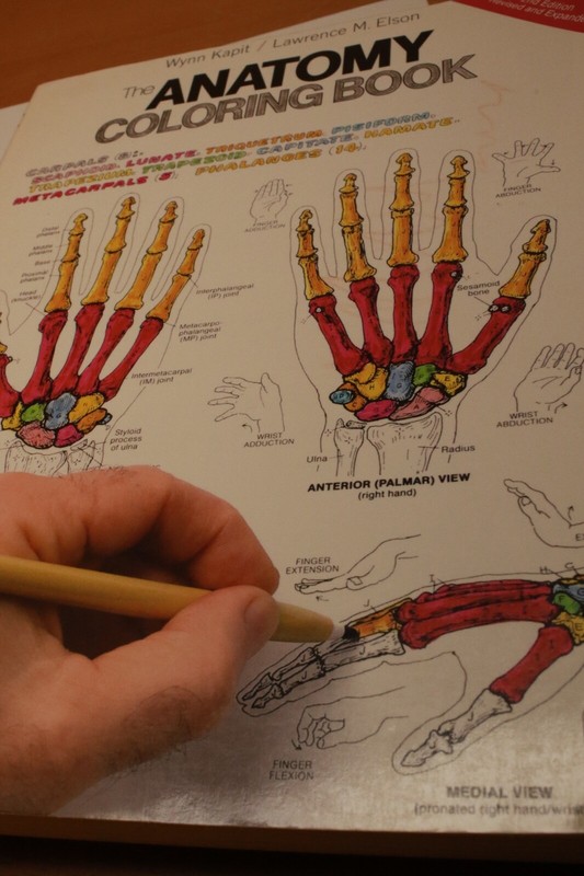 The Anatomy Coloring Book By W. Kapit, L. M. Elson & The Biology C.B. By Griffin gallery