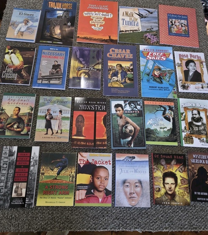 level 1-5 Reading Material Short Stories paperback books Lot Of 23 ( New )