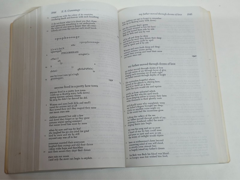 Vintage 1983 The Norton Anthology of Poetry, Third Edition softcover, great cond gallery