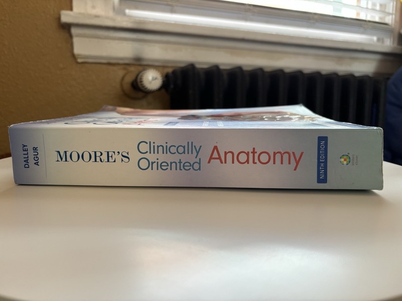 Moore’s Clinically Oriented Anatomy | 9th Ed | A.F Dalley & A.M.R. Agur | gallery