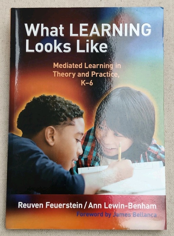 What Learning Looks Like Mediated Theory and Practice K-6 Classrooms Museums.