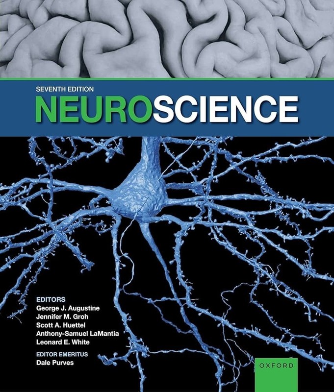 Neuroscience 7th Edition by Jennifer M. Groh (2023, Hardcover)