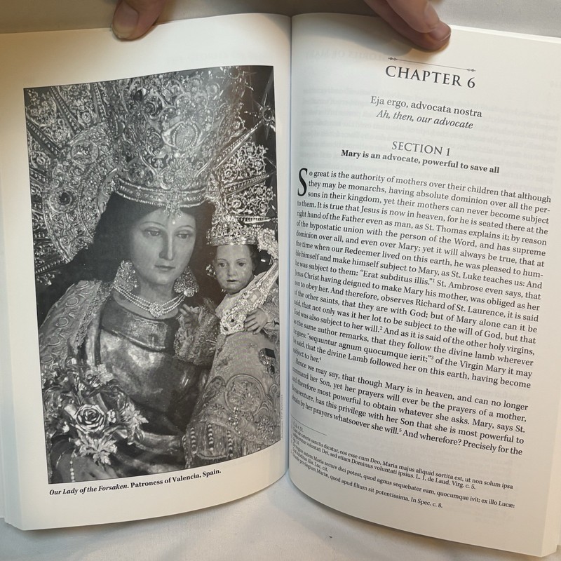 Glories of Mary By St. Alphonsus De Liguori New English Translation Very Good gallery