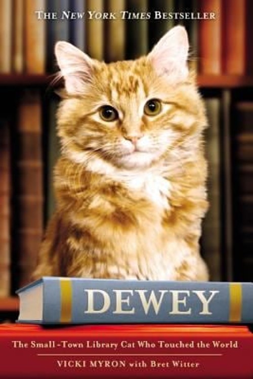 Dewey : The Small-Town Library Cat Who Touched the World Hardcove