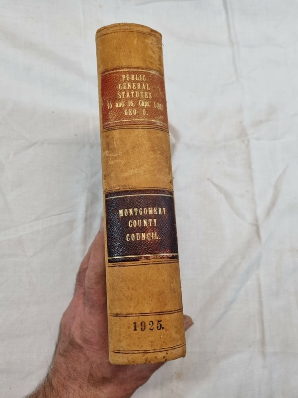1925 Montgomery CC Public General Statutes 15 & 16 Caps + 1-30 GEO5 in Hardback