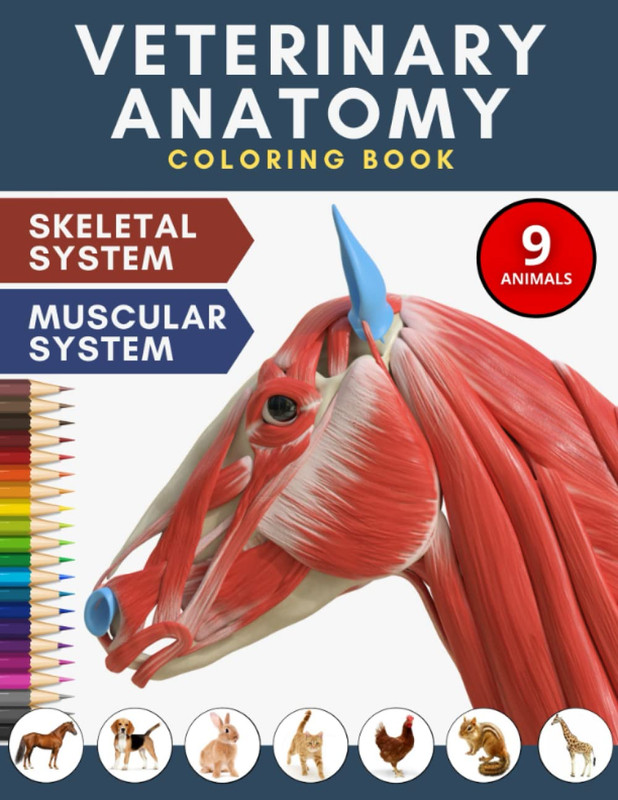 Veterinary Anatomy Coloring Book: Incredibly Detailed 9 Animals Physiology Pages gallery