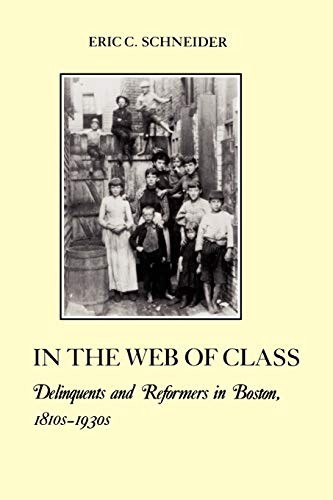 IN THE WEB OF CLASS: DELINQUENTS AND REFORMERS IN BOSTON, By Eric C. Schneider