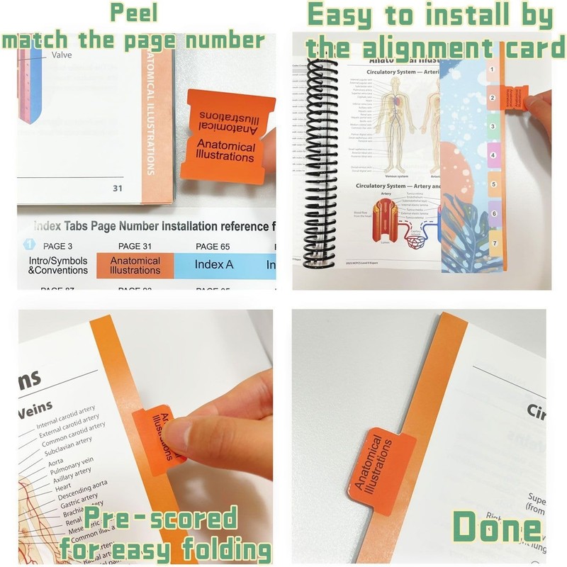 Durable Laminated PVC Medical Coding Tabs for 2026 CPT ICD-10 HCPCS Books gallery