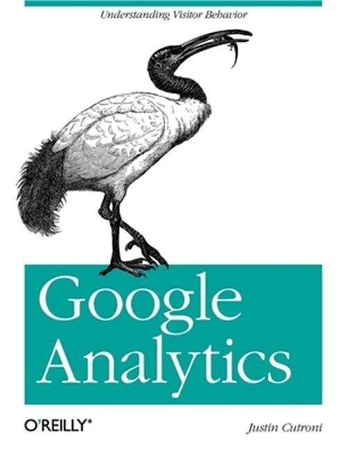 Google Analytics (Paperback or Softback)