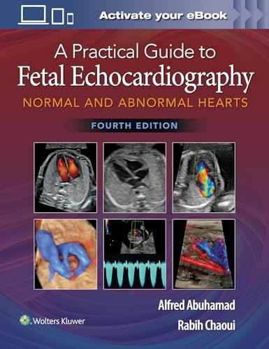 A Practical Guide to Fetal – Hardcover, by Abuhamad MD Alfred – Very Good v