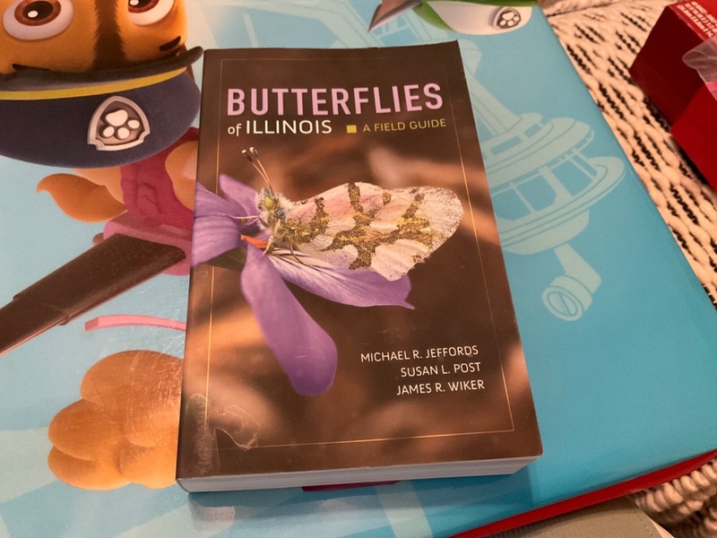 Butterflies of Illinois : A Field Guide Paperback