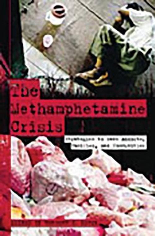 The Methamphetamine Crisis : Strategies to Save Addicts, Families