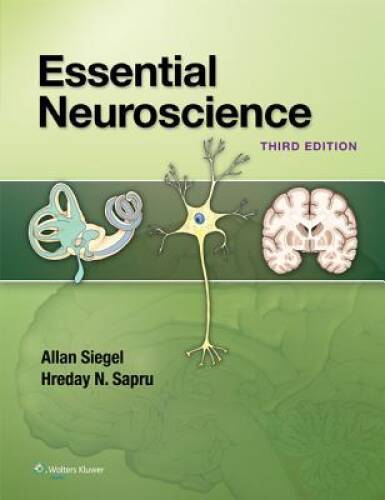 Essential Neuroscience – Paperback By Siegel PhD, Allan – GOOD