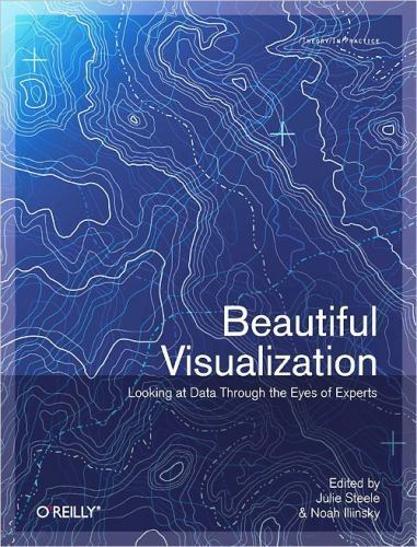 Beautiful Visualization by Julie Steele and Noah Iliinsky (2010, Trade…