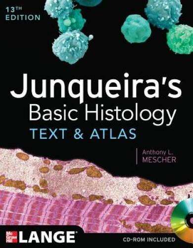 Junqueiras Basic Histology: Text and Atlas, Thirteenth Edition – ACCEPTABLE