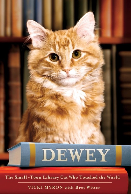 Dewey: The Small-Town Library Cat Who Touched the World – hardcover Myron, V…