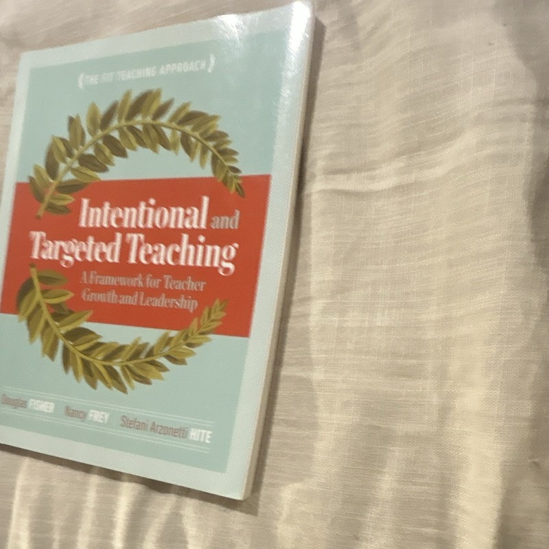 NEW ~ Intentional And Targeted Teaching A Framework For Teacher Growth And 2016 gallery