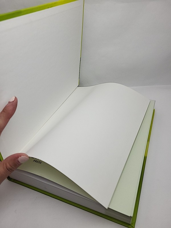 Local Planning Contemporary Principles and Practice Gary Hack ICMA Green Book gallery