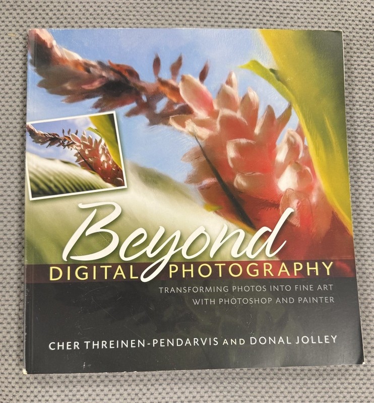 Beyond Digital Photography Transforming Photos into Fine Art with Photoshop PB