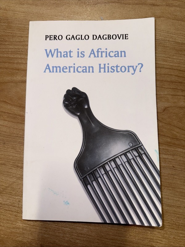 What Is History? Ser.: What Is African American History? by Pero Gaglo Dagbovie