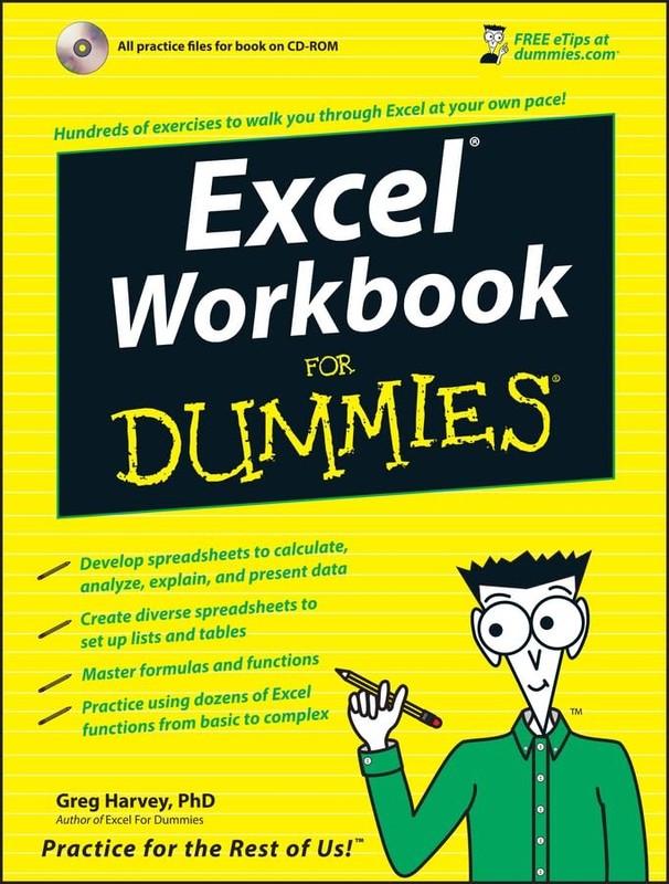 Excel Workbook For Dummies (For Dummies Series)