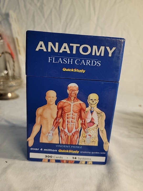 Anatomy Flash Cards: a QuickStudy Reference Tool